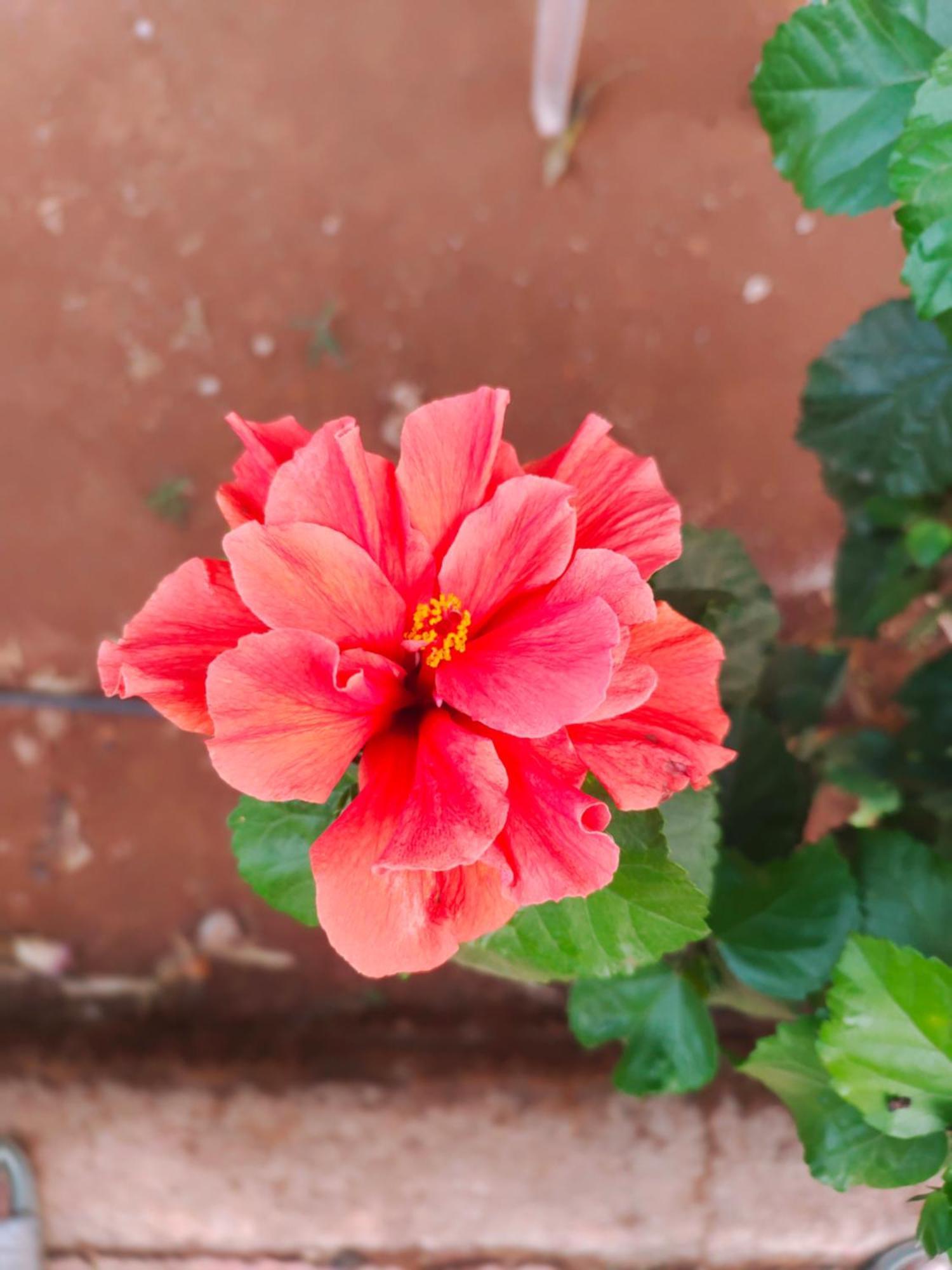 Farm stay Panshet Valley Resort- Mtdc & Agro Tourism *