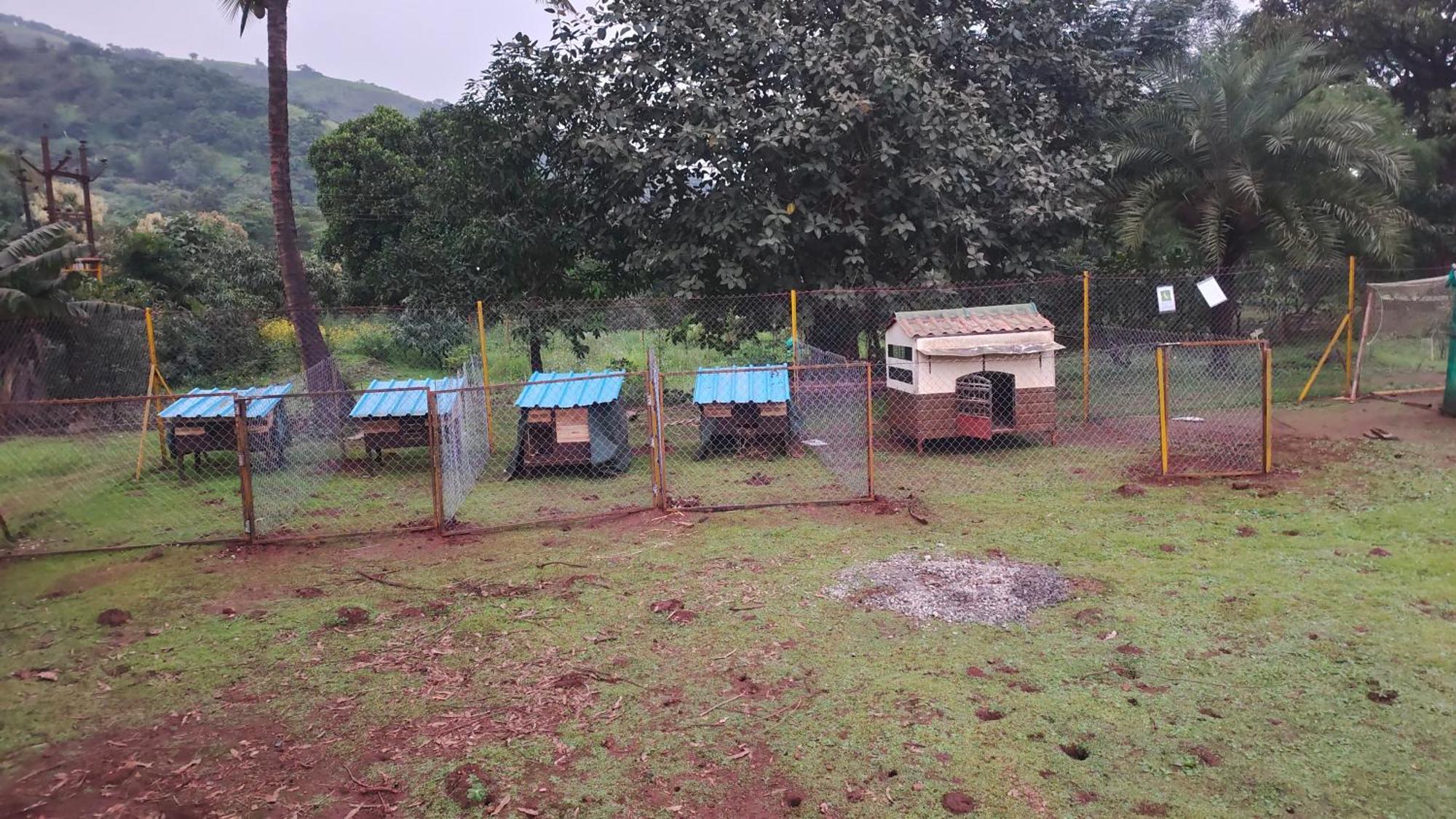 Farm stay Panshet Valley Resort- Mtdc & Agro Tourism *
